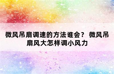 微风吊扇调速的方法谁会？ 微风吊扇风大怎样调小风力